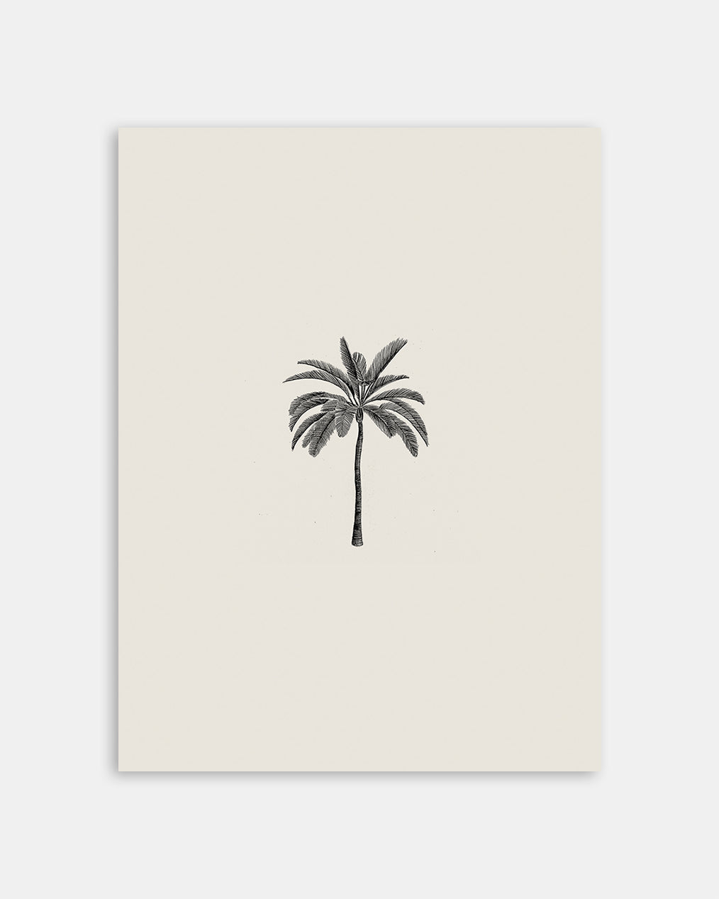 Pencil Drawing Of A Palm Tree 