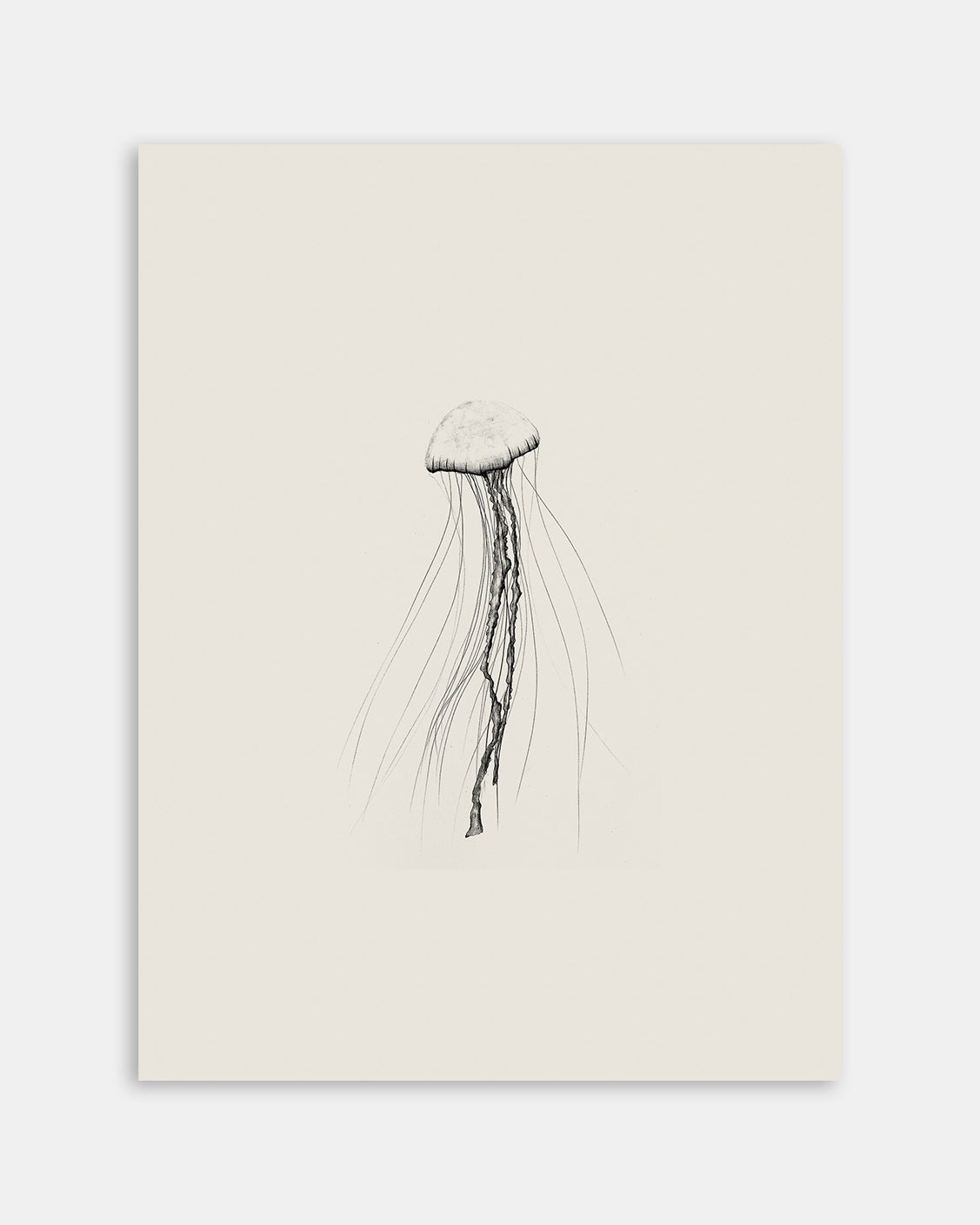 Jellyfish Pencil Drawing Art Print