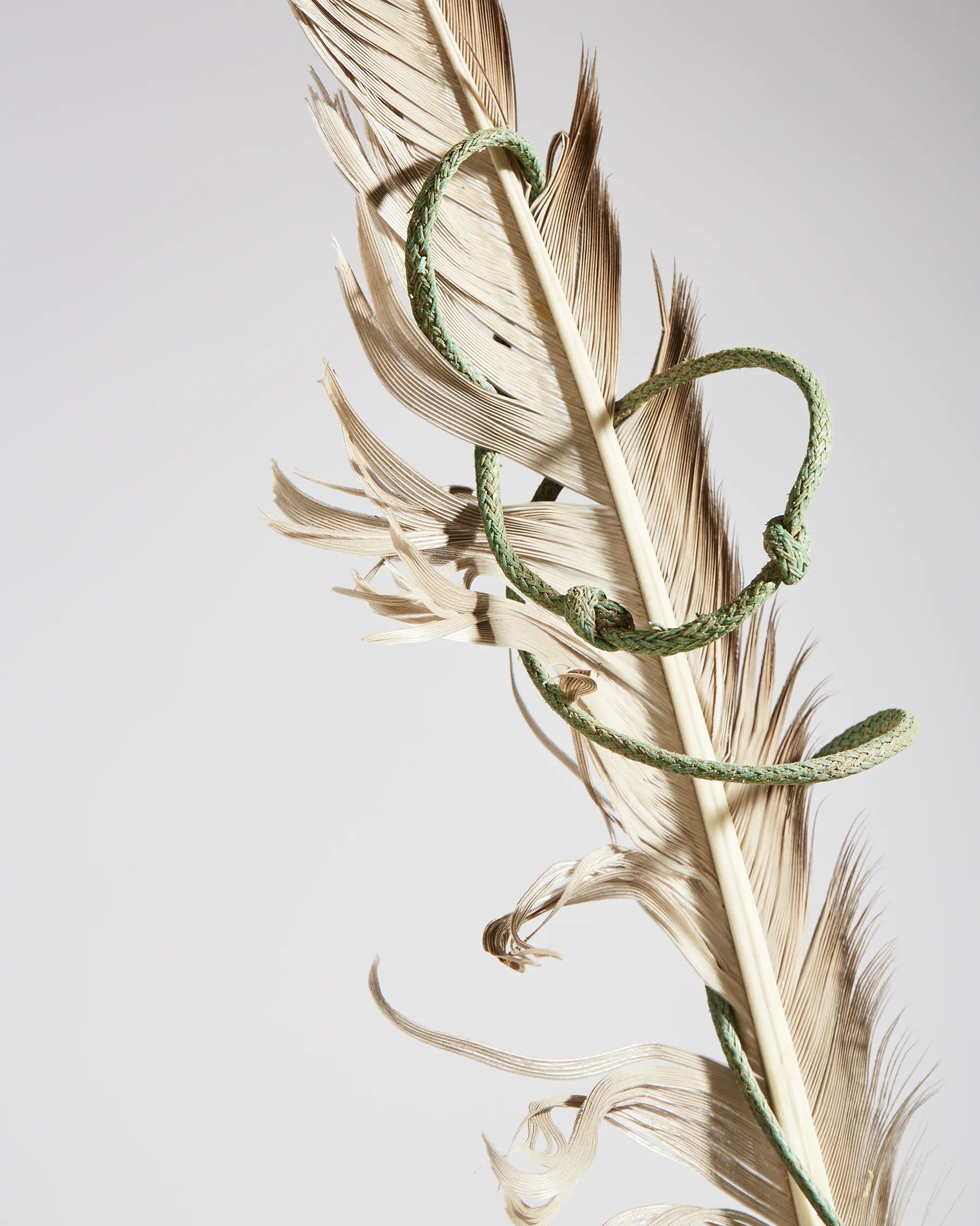 Longshore Drift Coastal Photographic Print | Feather Detail