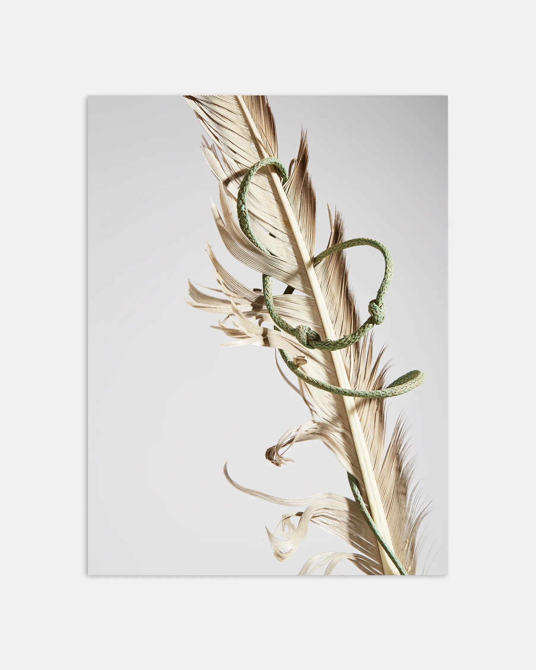 Longshore Drift Coastal Photographic Print | Feather Detail