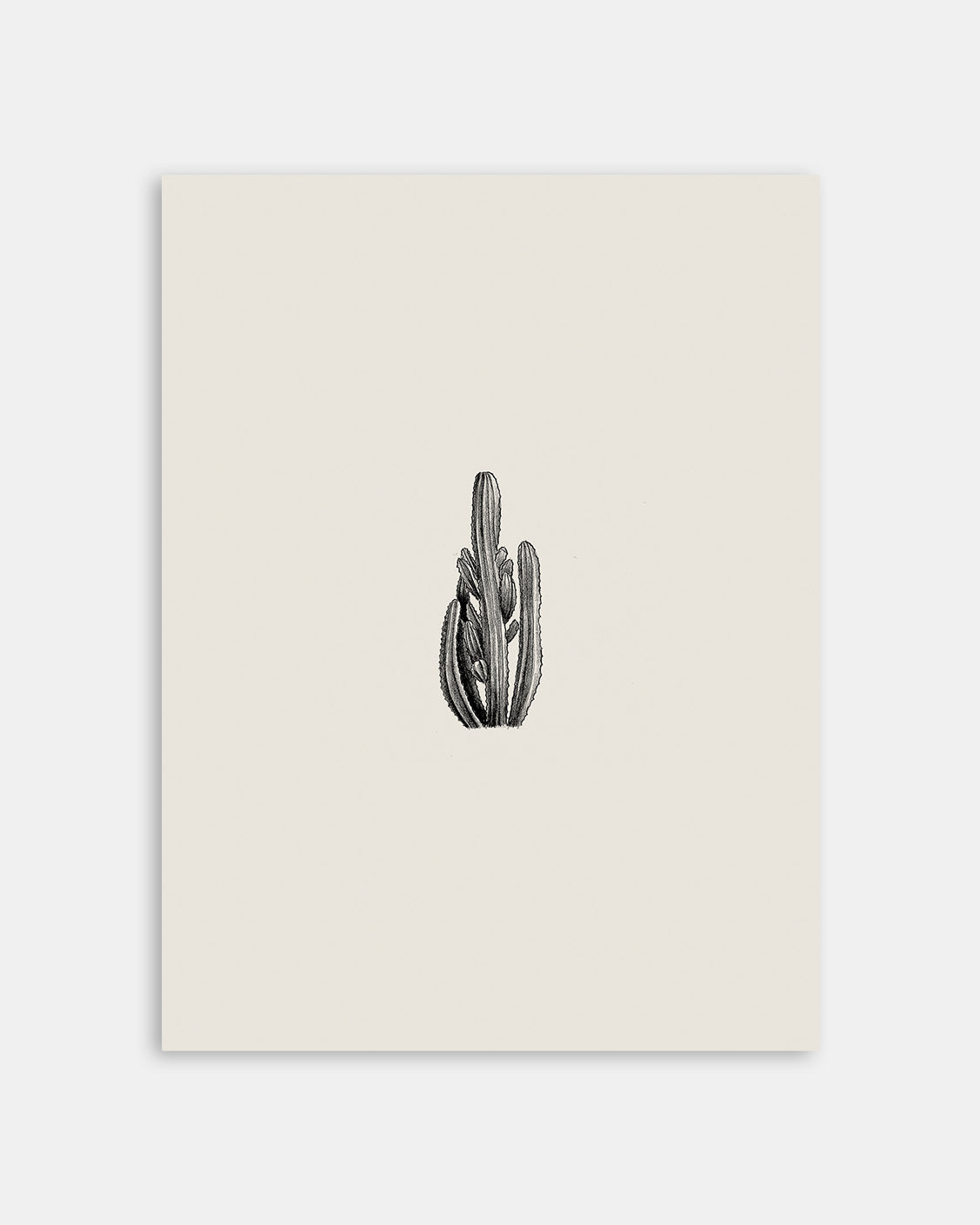 Cactus Pencil Drawing Art Print