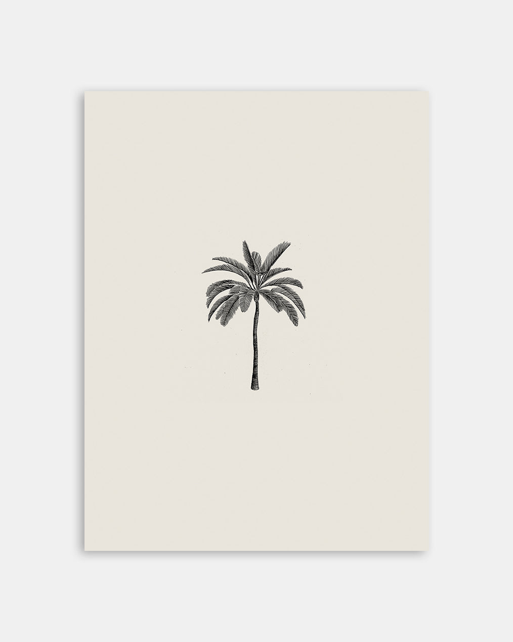 Palm Tree Pencil Drawing Art Print