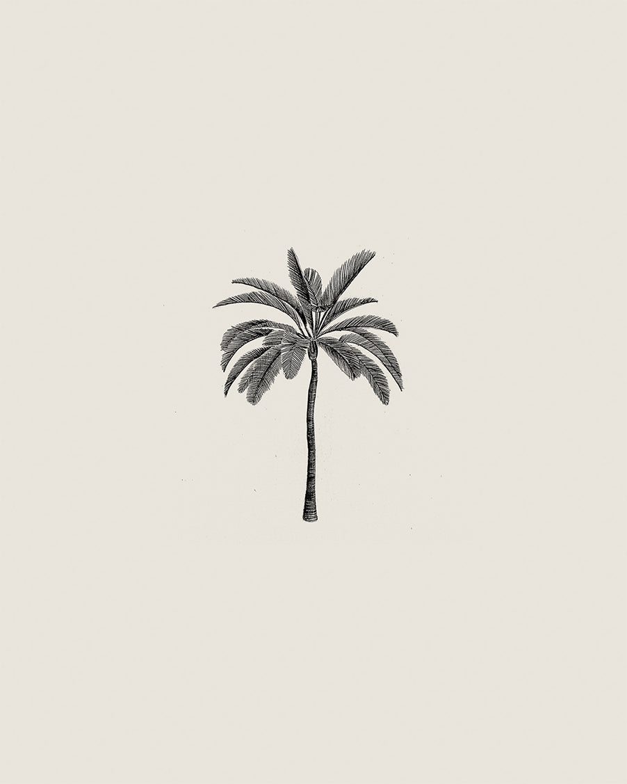 Palm Tree Pencil Drawing Art Print
