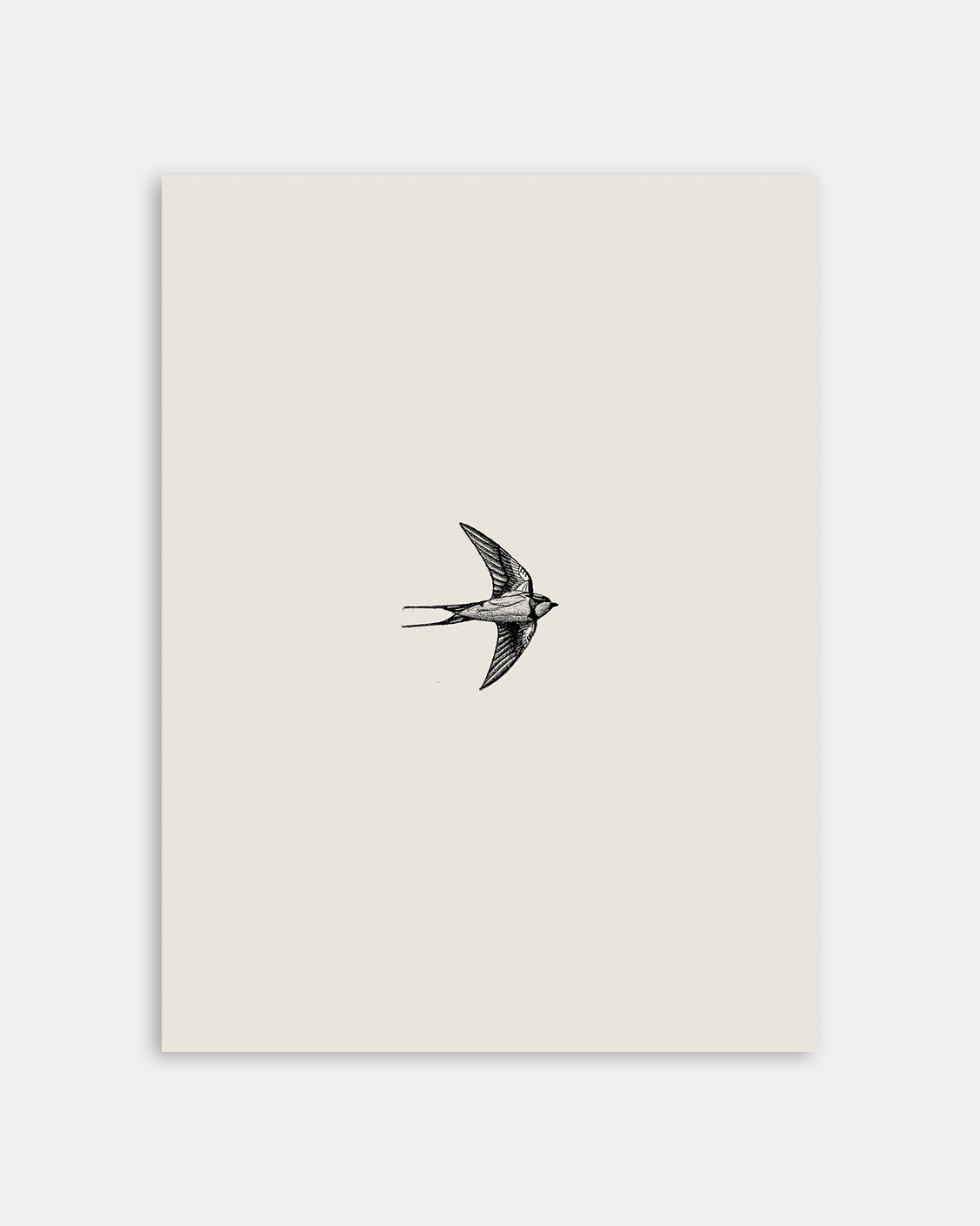 Swallow Bird Pencil Drawing Art Print